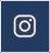 beleco-beauty-footer-icon-instagram-logo